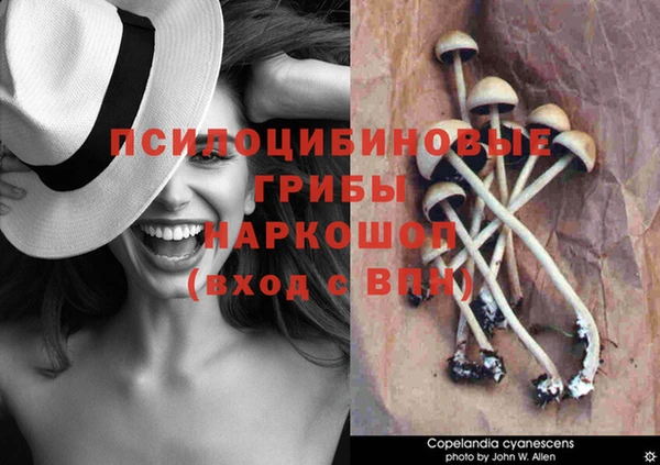 МДПВ Горняк
