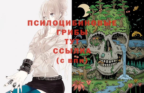 скорость Баксан
