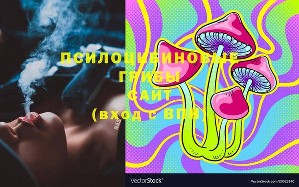 apvp Горно-Алтайск