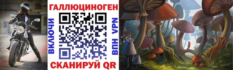 Галлюциногенные грибы Psilocybine cubensis  Ступино 