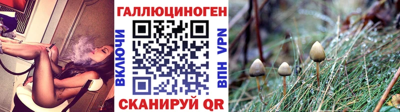 Псилоцибиновые грибы Psilocybe Ступино